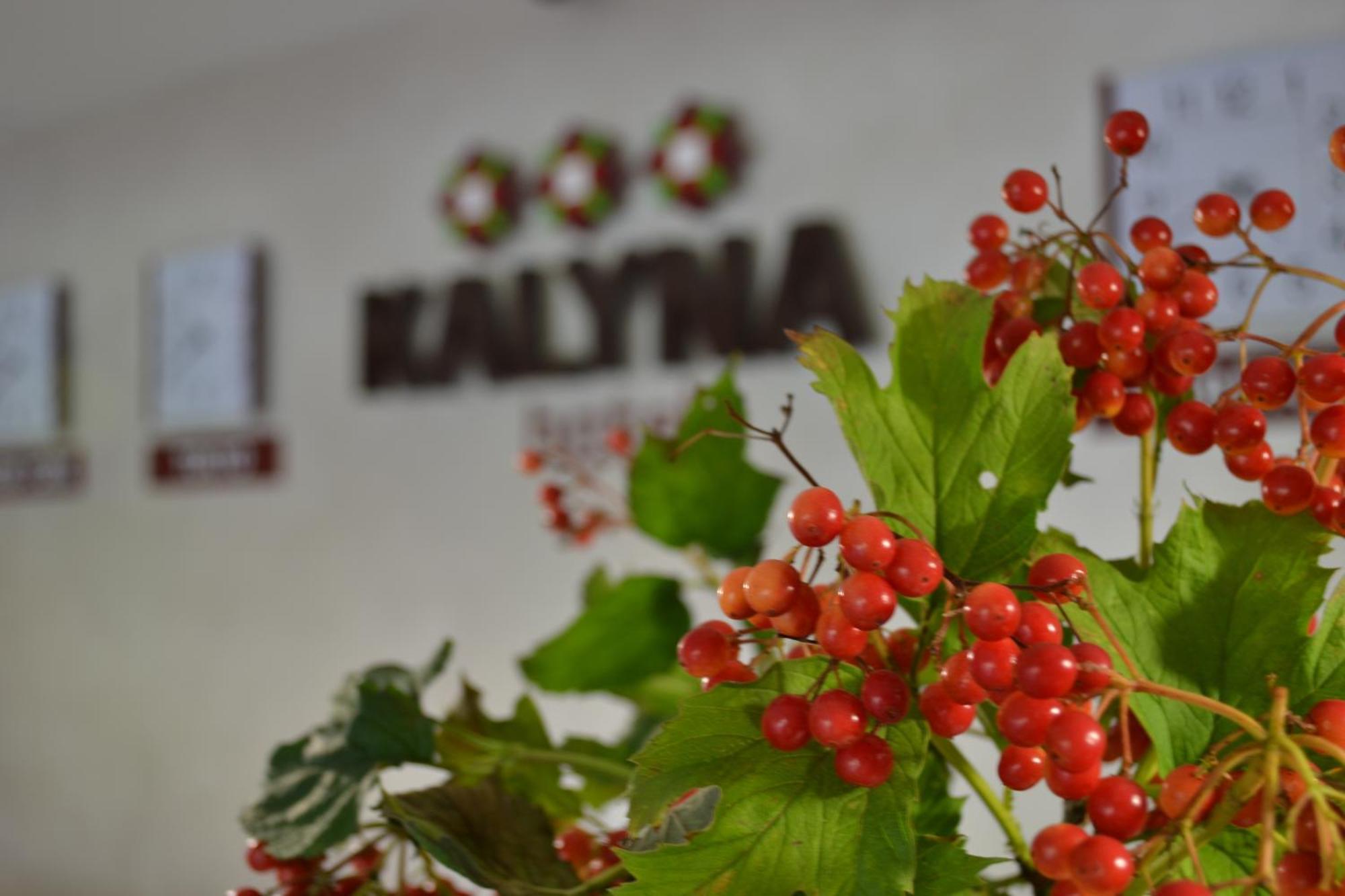 Hotel Kalyna Kharkiv Exterior photo